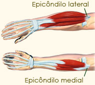 Epicôndilo medial e lateral